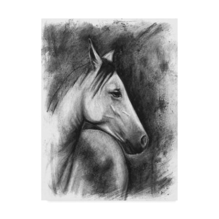 Naomi Mccavitt 'Charcoal Equestrian Portrait I' Canvas Art,18x24